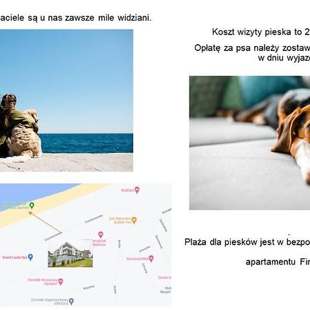 Apartament Finestra, Przy Morzu, Ul Grunwaldzka 12 D23 بوبيروفو المظهر الخارجي الصورة