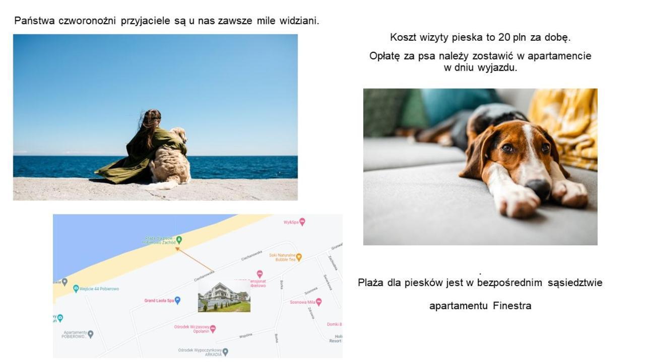 Apartament Finestra, Przy Morzu, Ul Grunwaldzka 12 D23 بوبيروفو المظهر الخارجي الصورة